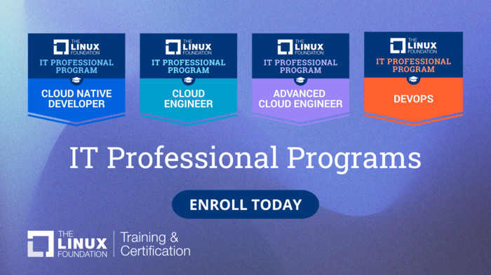 IT-Professional-Programs-1024x576