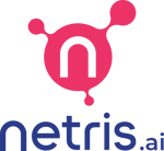 Netris.ai_2