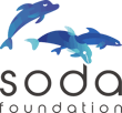 soda-foundation