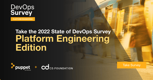 State of DevOps Survey 2022