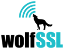 wolfSSL Logo